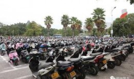 电动车事件最新爆料新闻,揭秘事故真相与责任归属